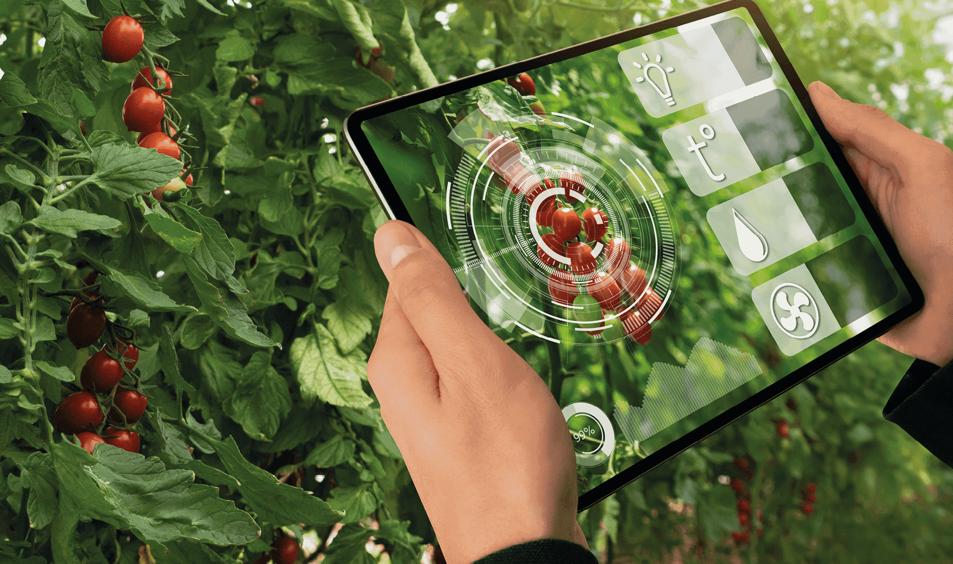 Качество урожая