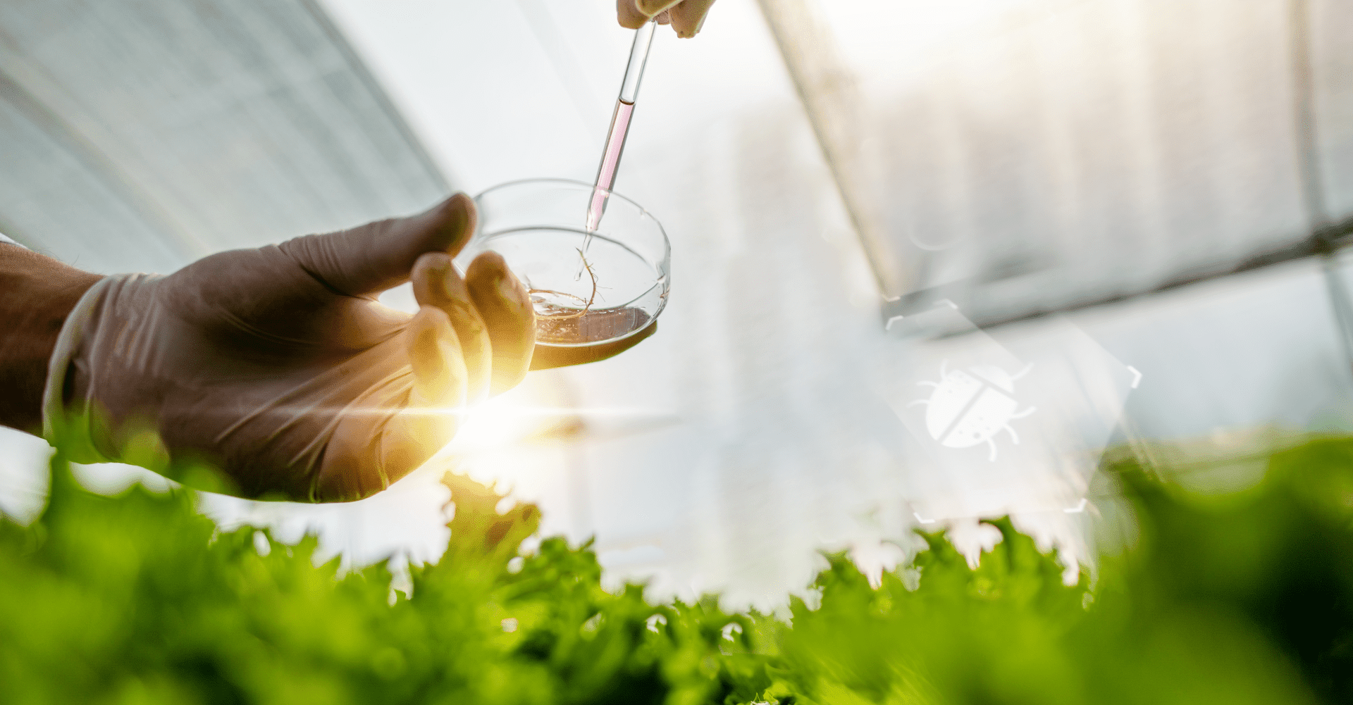 СОВЕРШЕНСТВОВАНИЕ ПРОИЗВОДСТВЕННЫХ ПРОЦЕССОВ