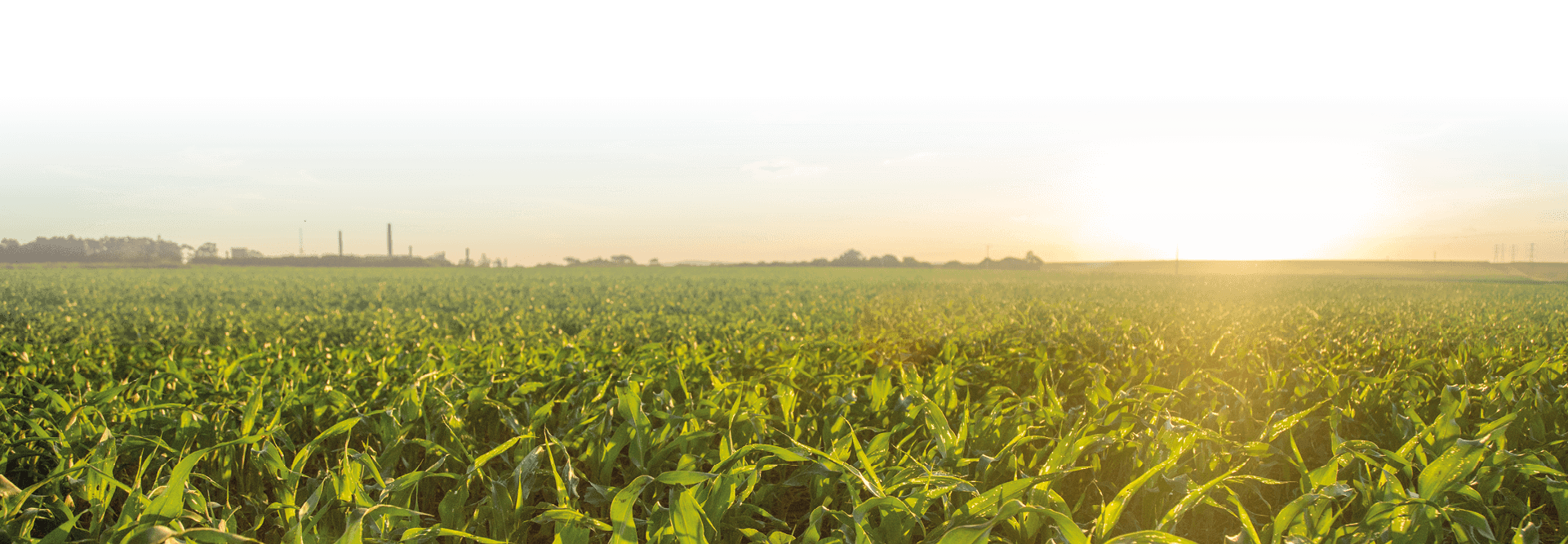 Иные инновационные продукты