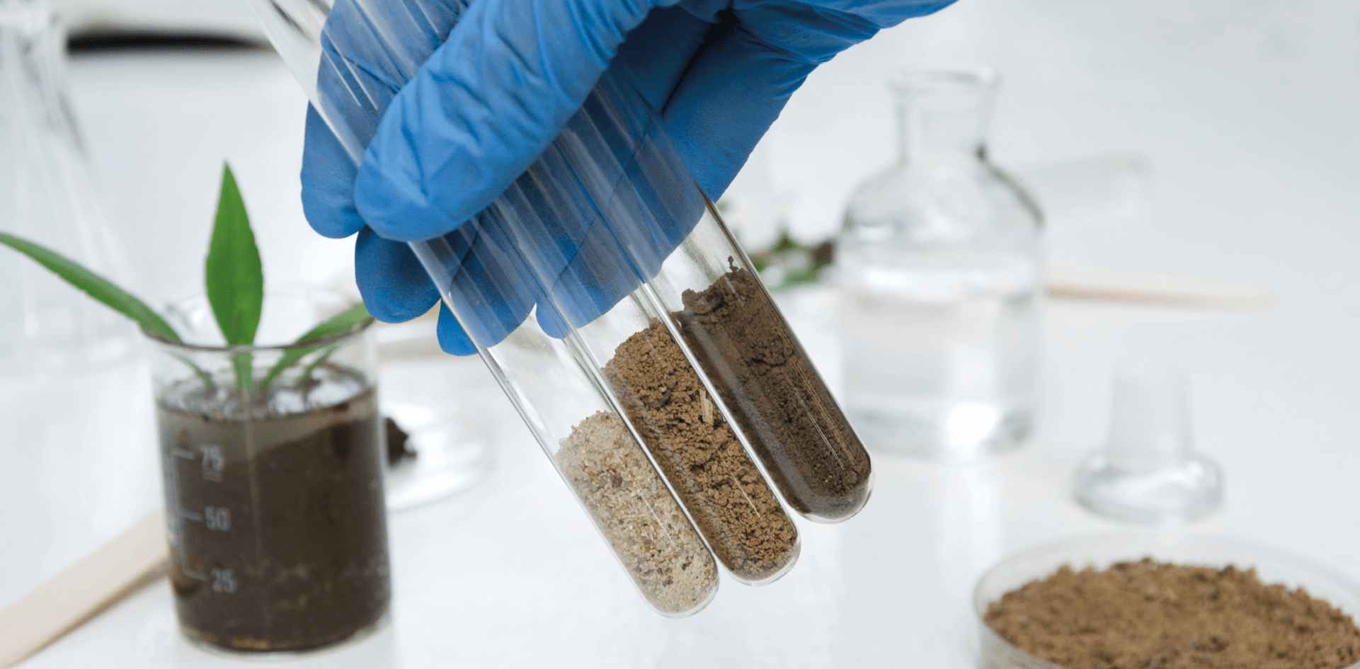 ФИЦ ПНЦБИ РАН