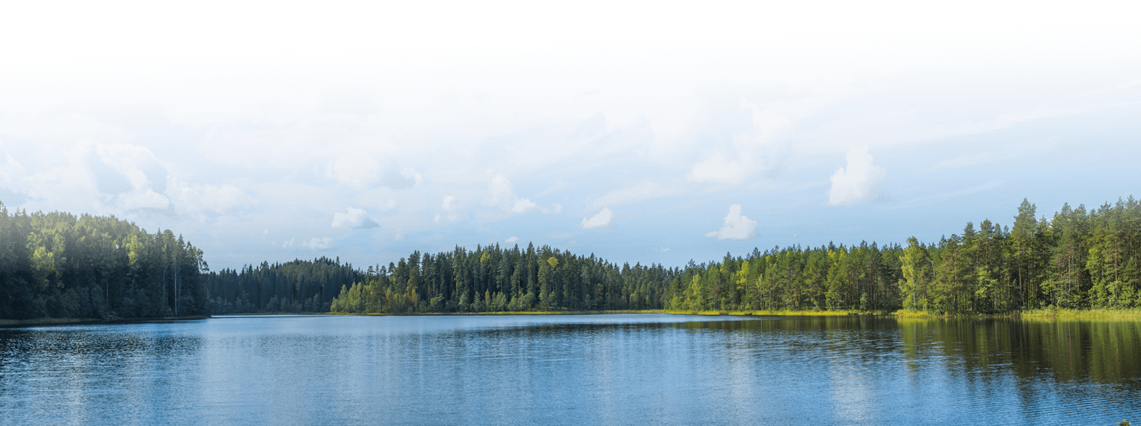 Биоразнообразие