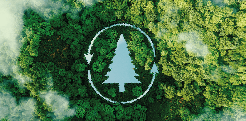 Сохранению биоразнообразия